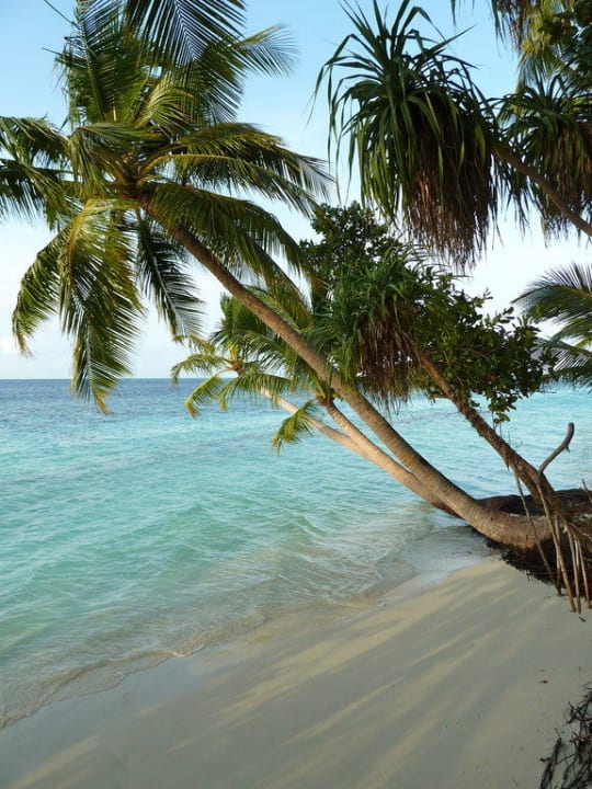 Typisch maledivisch Vilamendhoo Island Resort & Spa