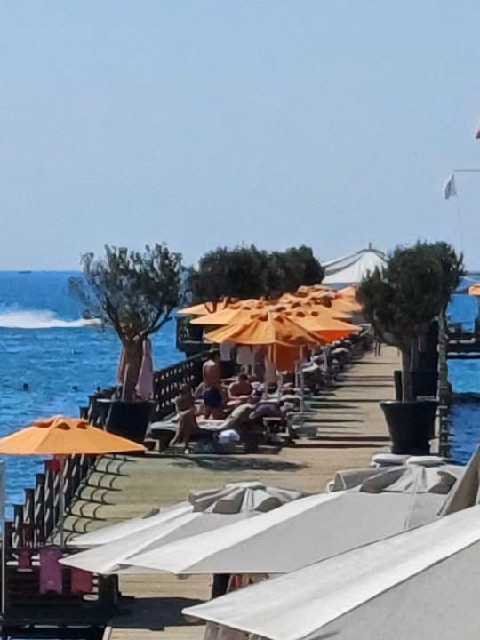 Strand Arum Barut Collection