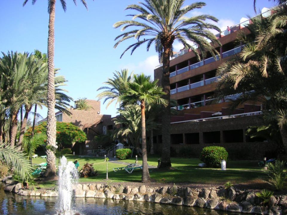 Hotel mit Aussenanlage Hotel Riu Palace Oasis