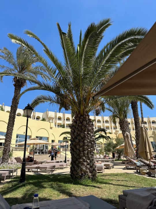 Gartenanlage Steigenberger Marhaba Thalasso Hammamet