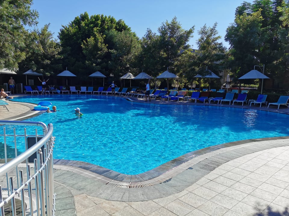 Pool Can Garden Beach