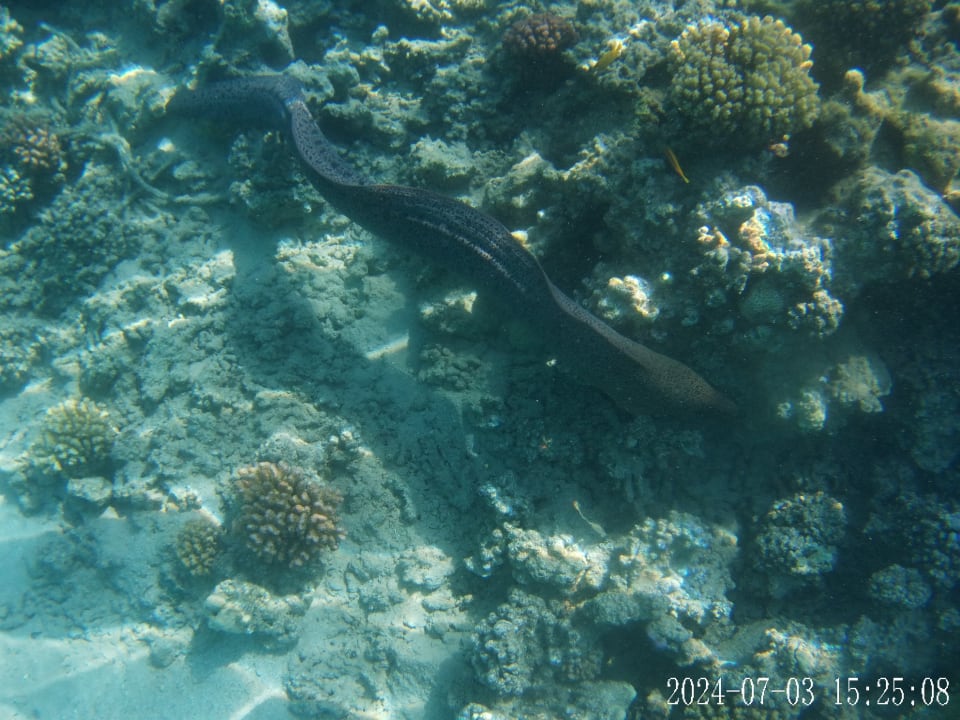 Sport & Freizeit Cleopatra Luxury Resort Makadi Bay