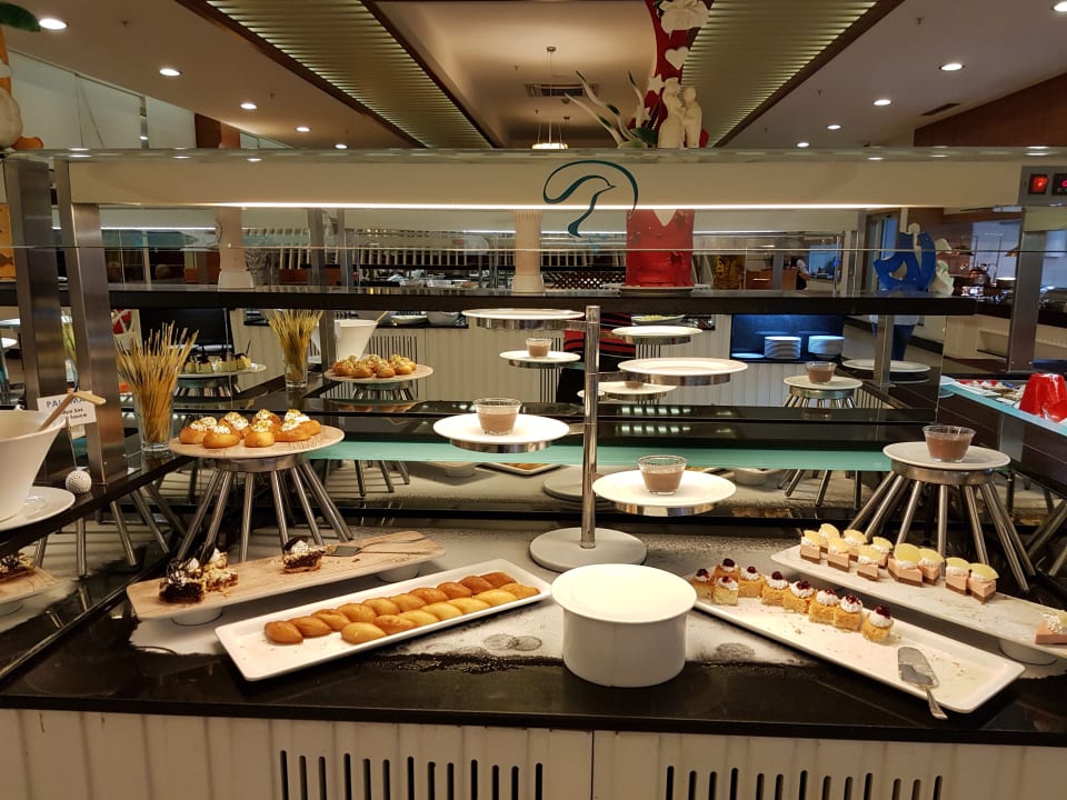 Gastro Paloma Oceana