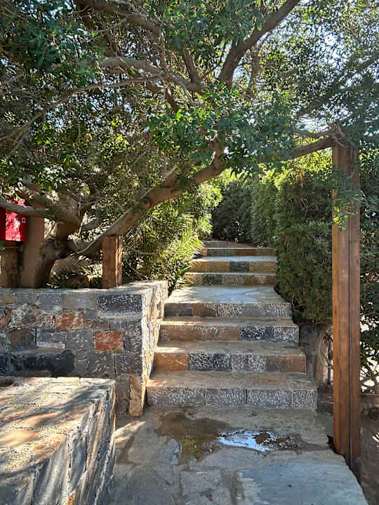 Gartenanlage Paralos Irini Mare