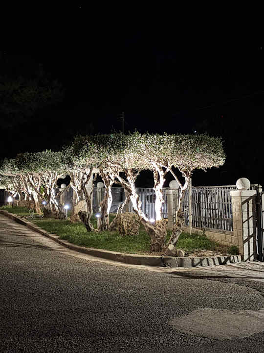 Gartenanlage Ilios K Village Resort