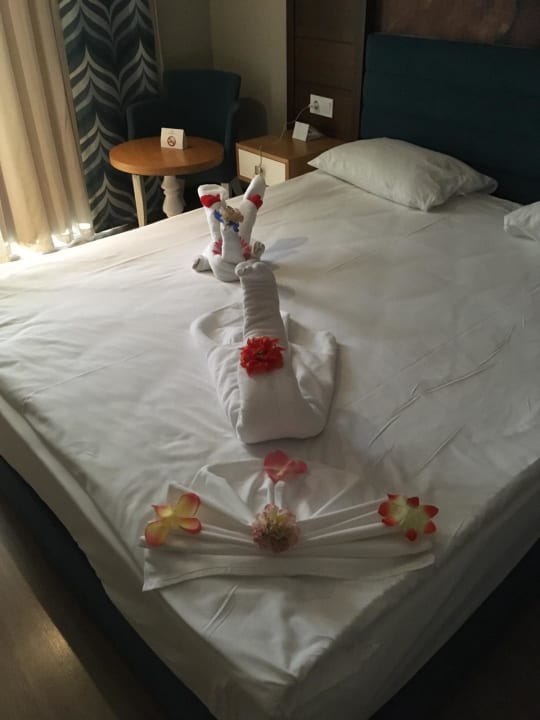 Zimmer Dream World Resort & Spa