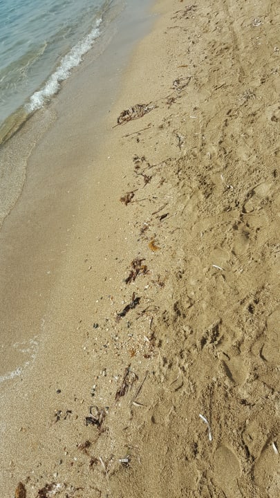 Dreck  Salamis Bay Conti Resort Hotel & Casino