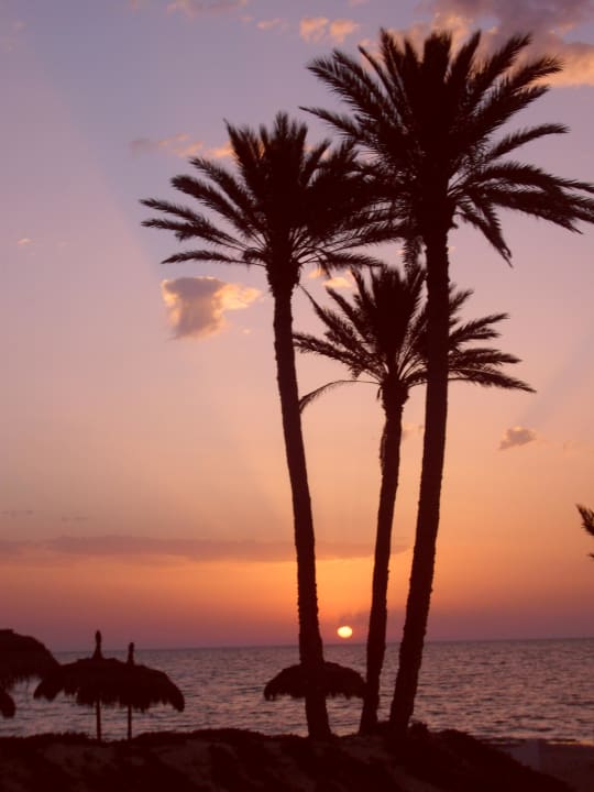 Um 5 Uhr Hotel El Mouradi Djerba Menzel