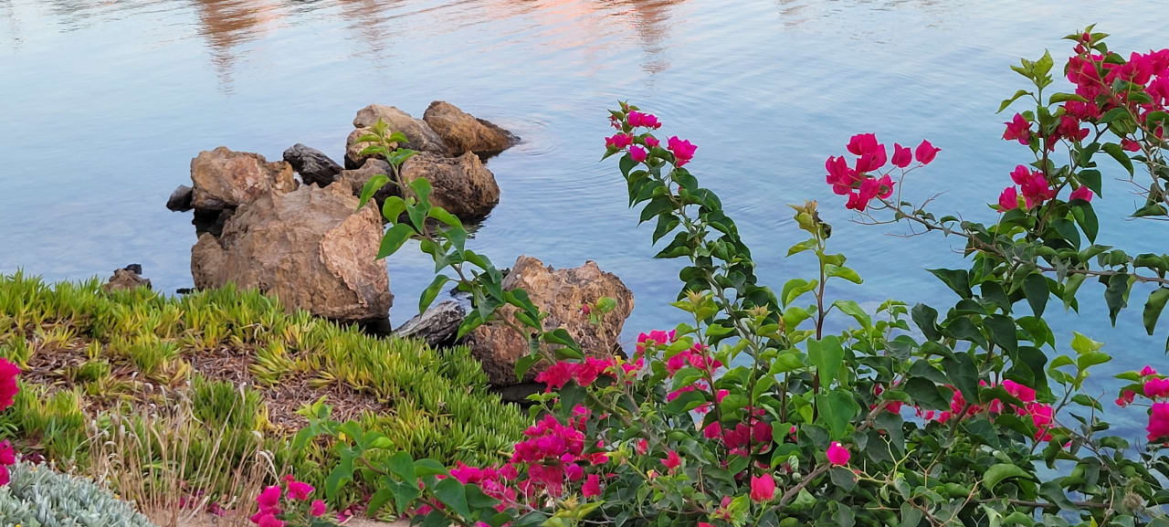 Strand Crystal Springs Beach Hotel