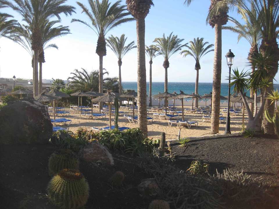 Hotelgarten/ Pool SBH Costa Calma Beach Resort