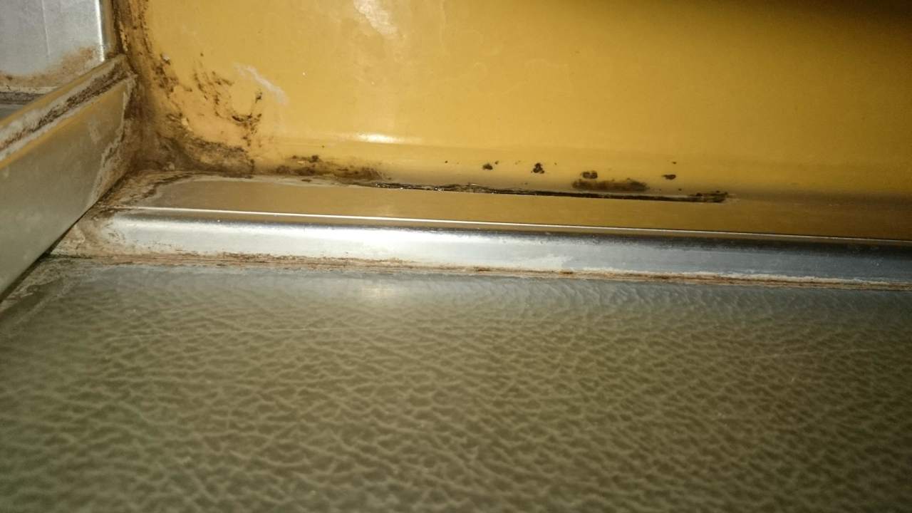 Schimmel Dusche Gasthof-Hotel Krone