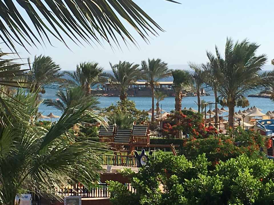 Ausblick Desert Rose