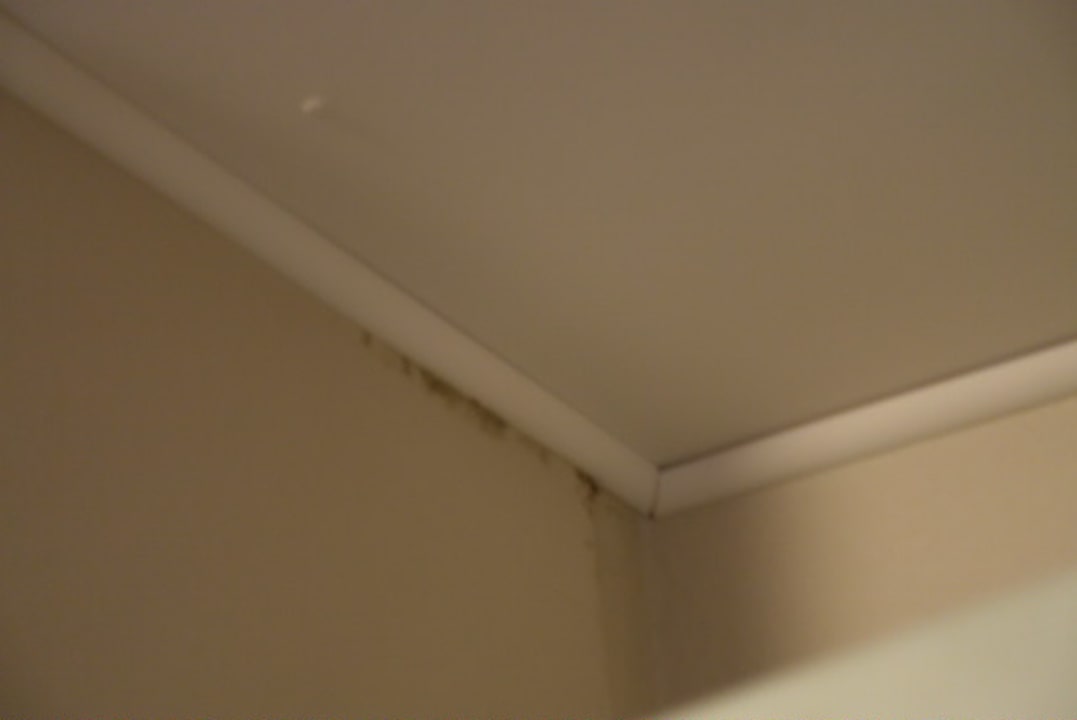 Zimmer Center Parcs Park Bostalsee