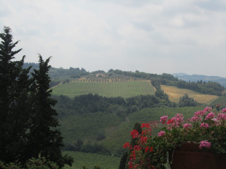 Blick aus dem Fenster  Hotel Castello di Montegufoni