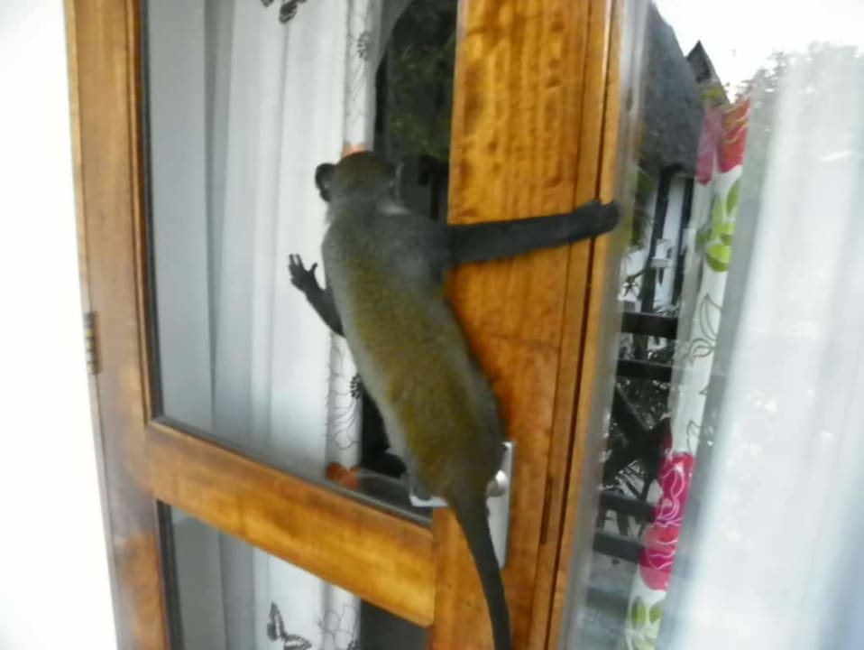 Pokój Hotel Papillon Lagoon Reef