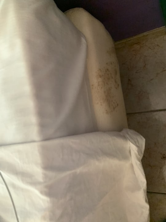 Zimmer Hotel Los Delfines Horizontes