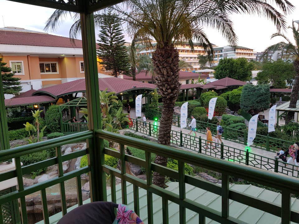 Zimmer Crystal Paraiso Aqua Collection