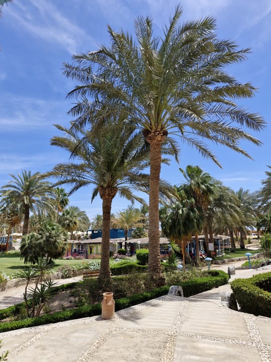Gartenanlage Club Paradisio El Gouna, Red Sea