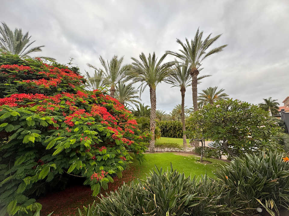 Gartenanlage Lopesan Costa Meloneras, Resort & Spa