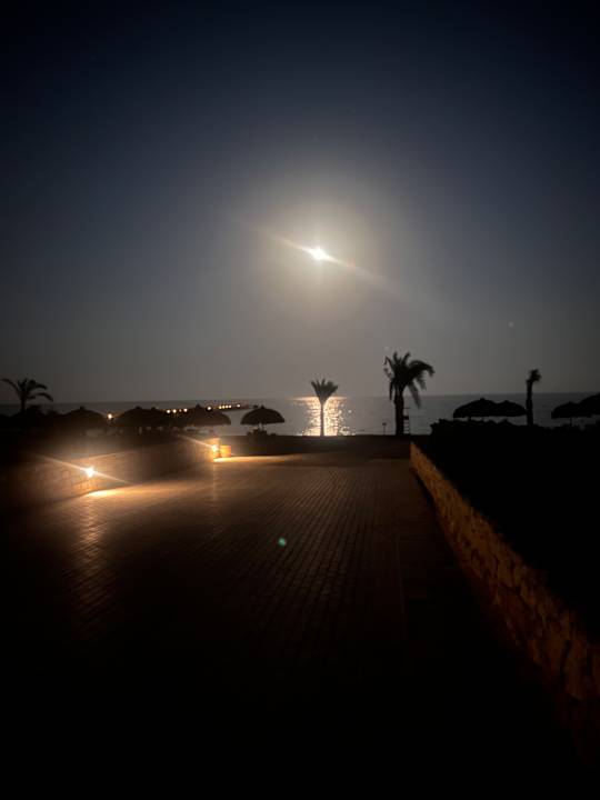 Strand Sentido Reef Oasis Suakin