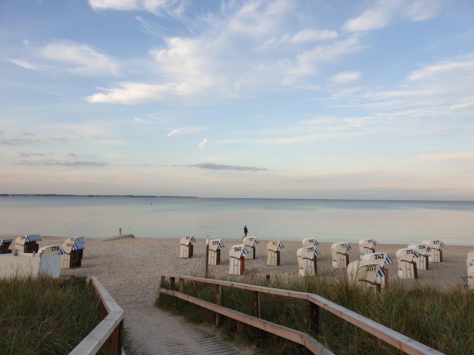 Strand Hotel Bayside