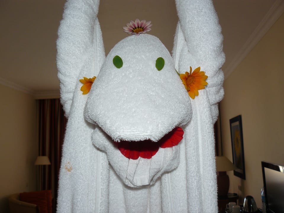 Zimmer Jaz Grand Marsa