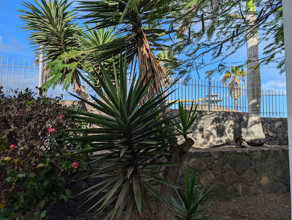 Zimmer Hotel Las Marismas de Corralejo