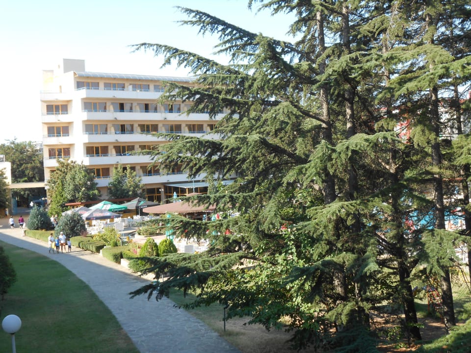 Blick vom Balkon Parkhotel Continental