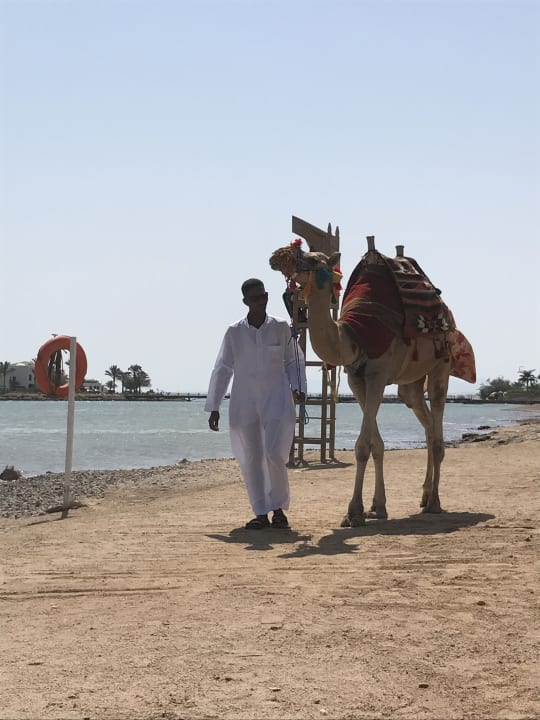 Strand Mövenpick Resort & Spa El Gouna