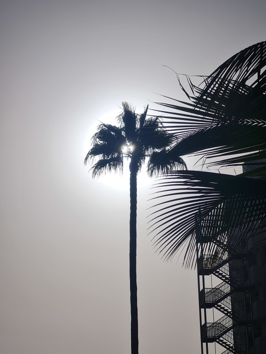 Außenansicht allsun Hotel Lucana