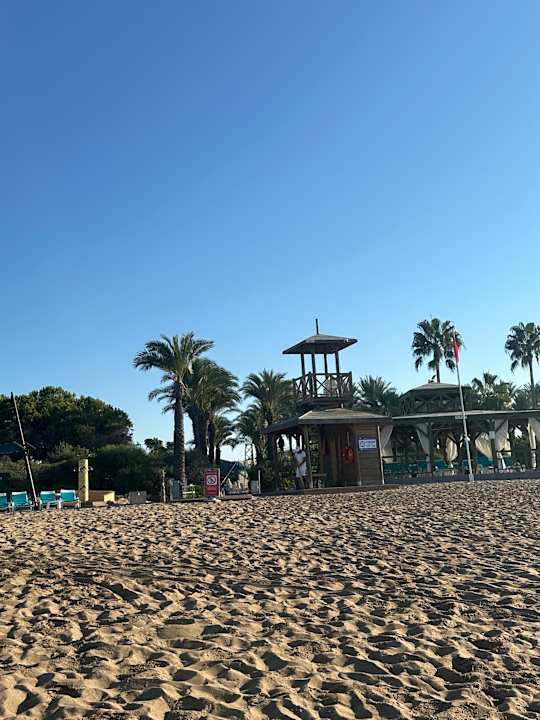 Strand AQI Pegasos World