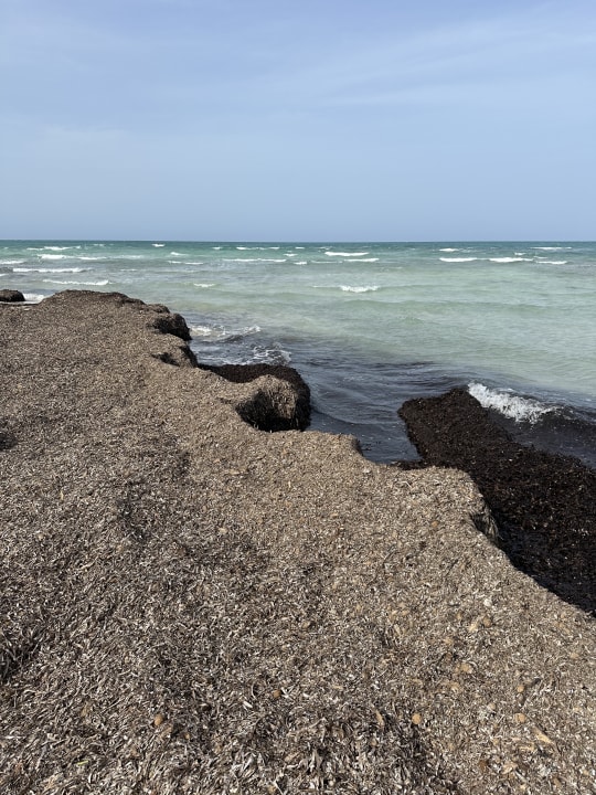 Strand ROBINSON DJERBA BAHIYA