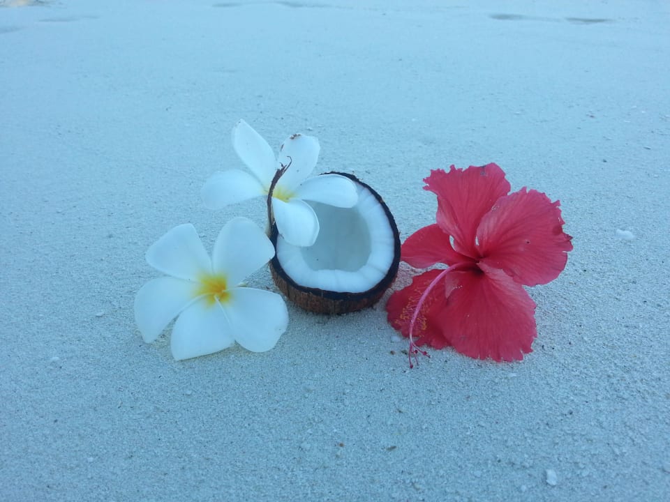 Paradies Adaaran Select Hudhuran Fushi - Premium All Inclusive