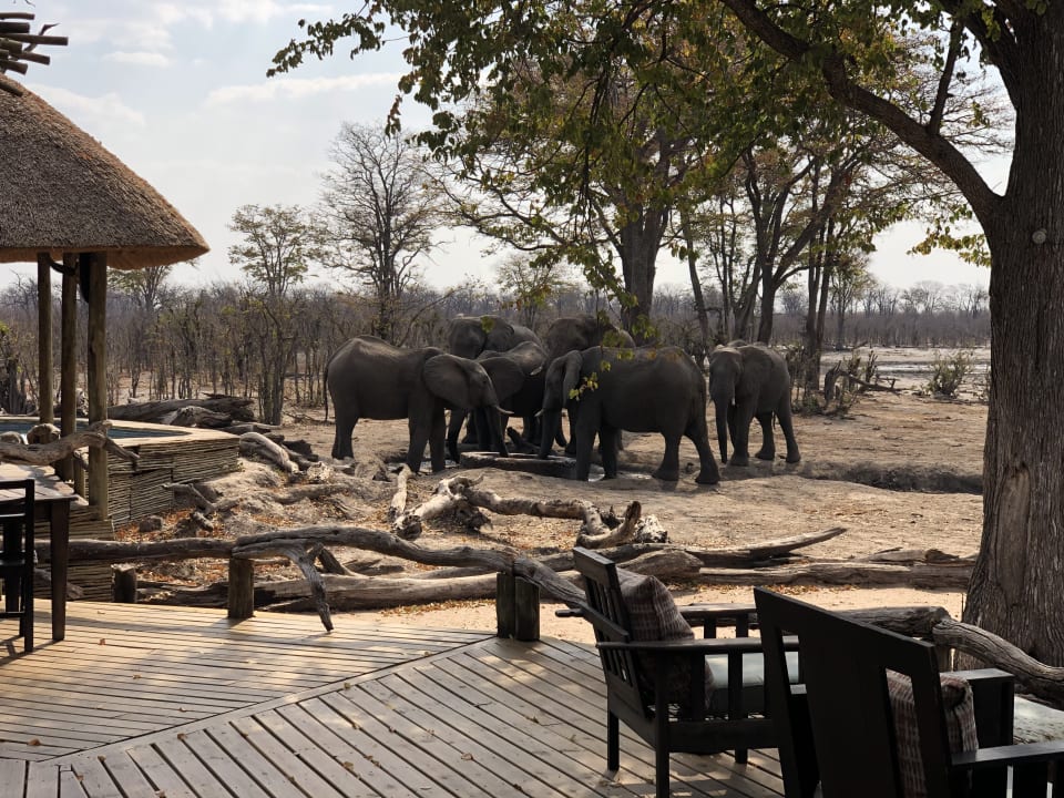 Außenansicht Hyena Pan Tented Camp