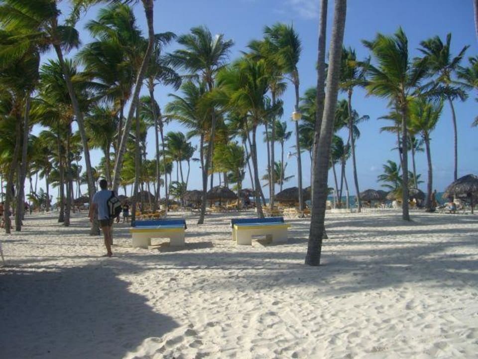 Strand Catalonia Punta Cana - All Inclusive
