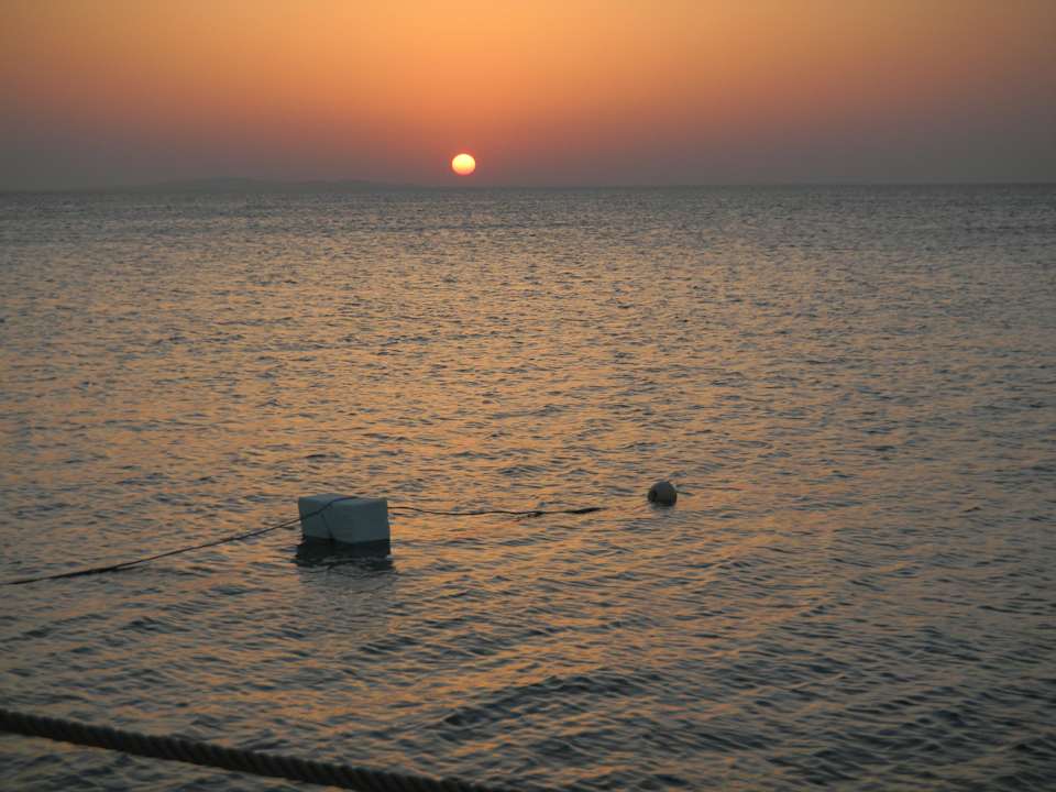Sonnenaufgang Pickalbatros Palace Resort