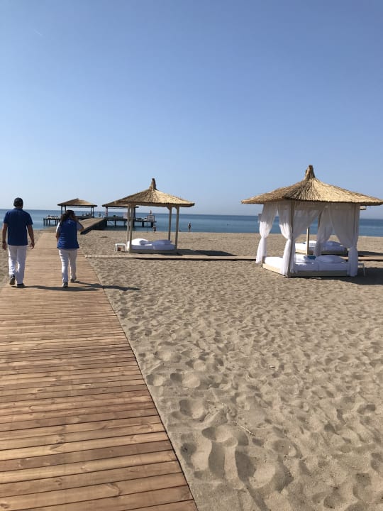 Strand ROBINSON NOBILIS