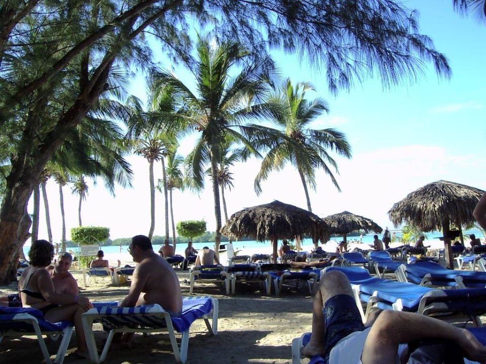 Hotelstrand BelleVue Dominican Bay