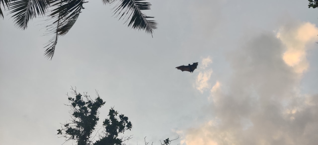 Ausblick Innahura Maldives Resort