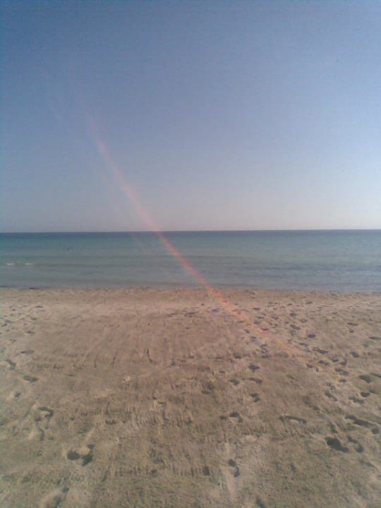 Ausblick zum Meer Djerba Sun Beach Hotel & Spa