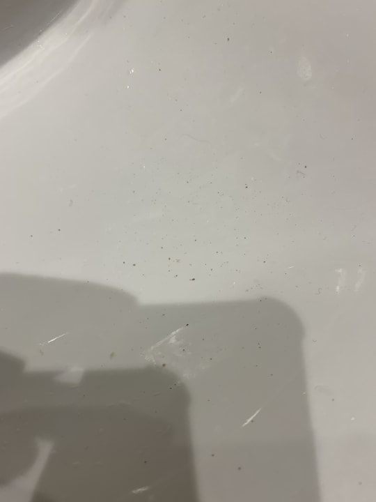 Zimmer Seaside Park Hotel