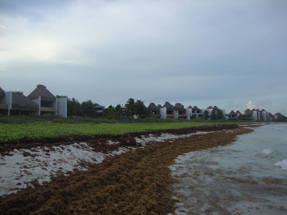 Hotel Catalonia Playa Maroma Catalonia Playa Maroma