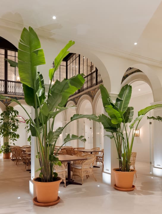 Sonstiges H10 Palacio Colomera