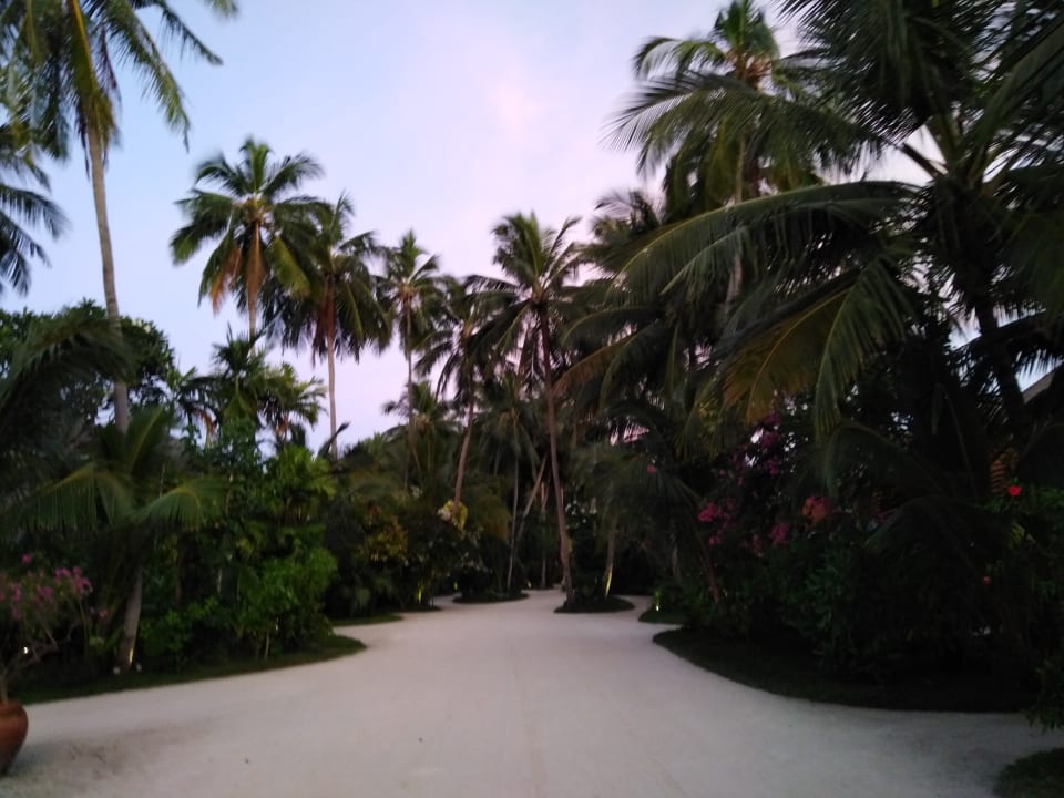 Gartenanlage Kuramathi Maldives