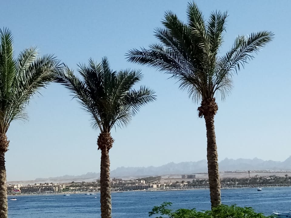 Ausblick Grand Waterworld Makadi & Family Star Makadi