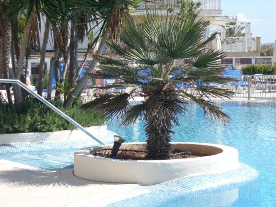 Hotel Sabina Sabina Hotel & Suites