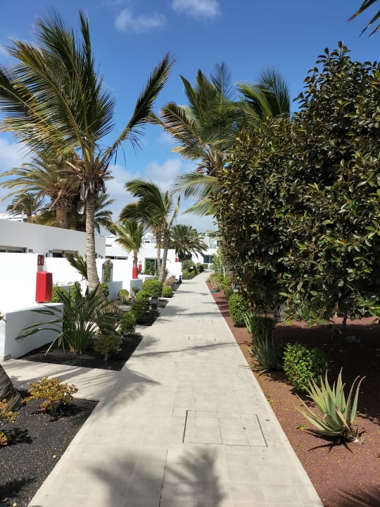 Gartenanlage Hotel Las Costas