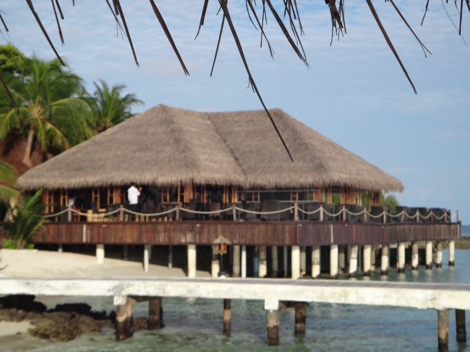 Hauptbar Eri Maldives