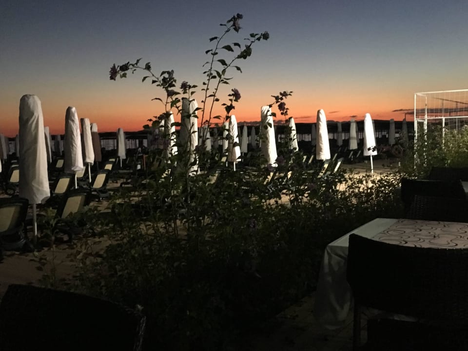 Abendmotiv Sentido Trendy Verbena Beach