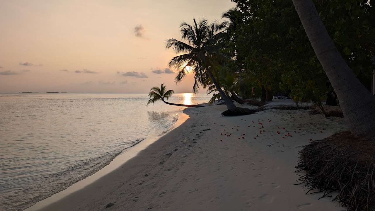 Ausblick Vilamendhoo Island Resort & Spa